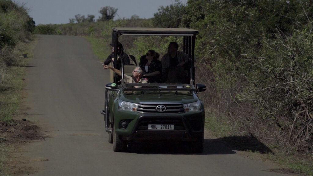 game drive